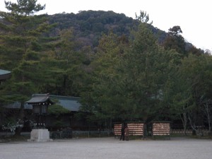 20110111-110111-3.jpg